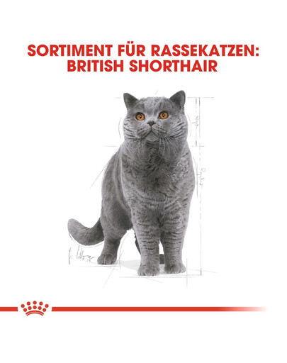 ROYAL CANIN British Shorthair Katzenfutter trocken für Britisch Kurzhaar 2 kg