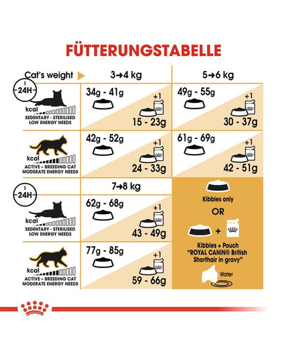 ROYAL CANIN British Shorthair Katzenfutter trocken für Britisch Kurzhaar 10 kg