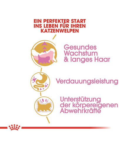 ROYAL CANIN Persian Kittenfutter trocken für Perser-Kätzchen 2 kg