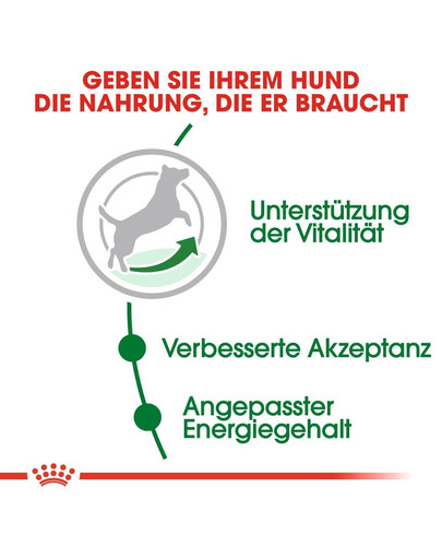 ROYAL CANIN MINI Adult 8+ Trockenfutter für ältere Hunde 2kg