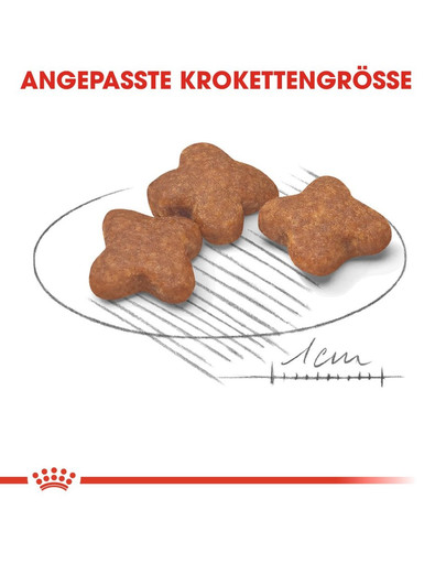 ROYAL CANIN MINI Adult 8+ Trockenfutter für ältere Hunde 2kg
