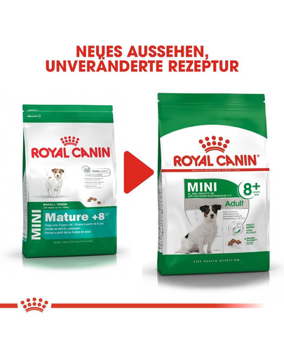 ROYAL CANIN MINI Adult 8+ Trockenfutter für ältere kleine Hunde 800 g