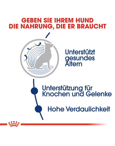 ROYAL CANIN MAXI Ageing 8+ Trockenfutter für ausgewachsene Hunde, große Rassen 15 kg