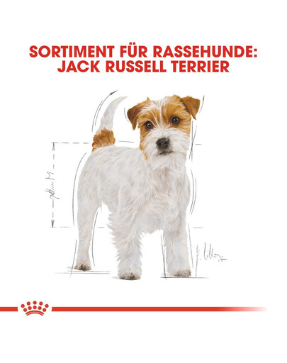 ROYAL CANIN Jack Russell Terrier Adult Hundefutter trocken 7,5 kg