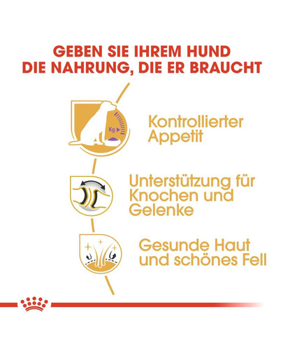 ROYAL CANIN Labrador Retriever Adult Sterilised Trockenfutter für kastrierte Hunde 12 kg