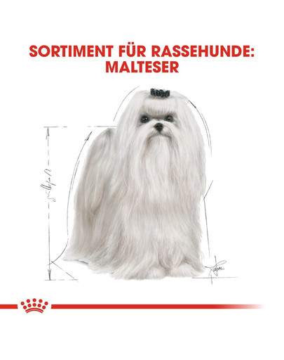 ROYAL CANIN Maltese Adult Hundefutter trocken 500 g