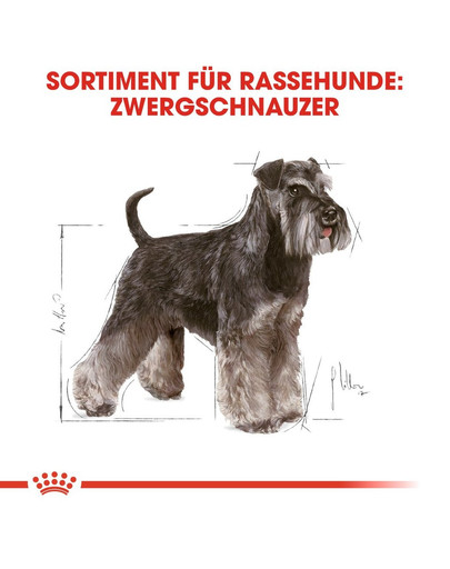 ROYAL CANIN Miniature Schnauzer Adult Hundefutter trocken für Zwergschnauzer 3 kg
