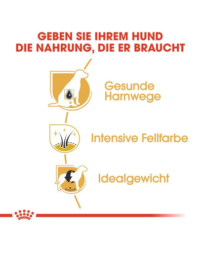 ROYAL CANIN Miniature Schnauzer Adult Hundefutter trocken für Zwergschnauzer 3 kg