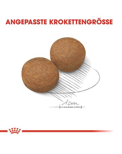 ROYAL CANIN MAXI Adult 5+ Trockenfutter für ältere große Hunde 15 kg