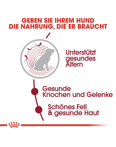 ROYAL CANIN MEDIUM Ageing 10+ Trockenfutter für ausgewachsene Hunde, mittlere Rassen 15 kg