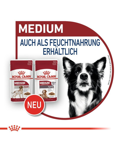 ROYAL CANIN MEDIUM Ageing 10+ Trockenfutter für ausgewachsene Hunde, mittlere Rassen 15 kg