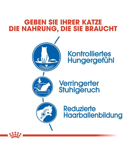 ROYAL CANIN INDOOR Appetite Control Trockenfutter für übergewichtige Wohnungskatzen 4 kg