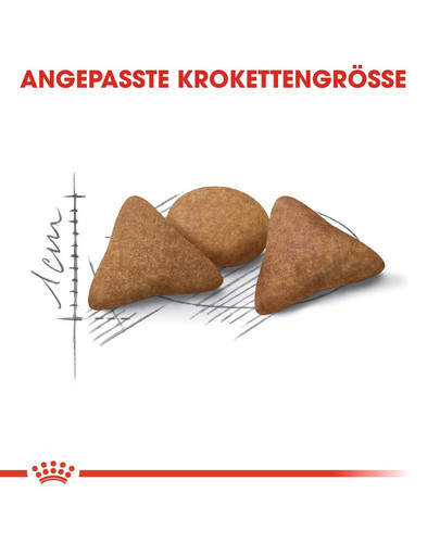 ROYAL CANIN INDOOR Appetite Control Trockenfutter für übergewichtige Wohnungskatzen 4 kg