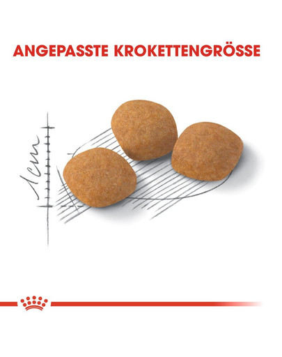 ROYAL CANIN PROTEIN EXIGENT Trockenfutter für wählerische Katzen 10 kg