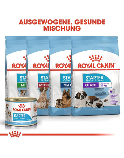 ROYAL CANIN MINI Starter für tragende Hündin und Welpen 1 kg