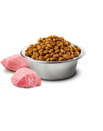 FARMINA N&D Prime Lamb & Blueberry Adult Mini 2.5 kg