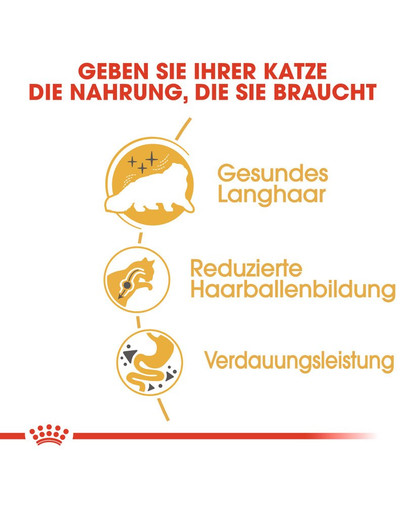 ROYAL CANIN Persian Adult Trockenfutter für Perser-Katzen 4 kg