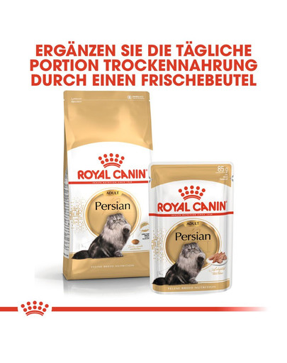 ROYAL CANIN Persian Adult Trockenfutter für Perser-Katzen 10 kg