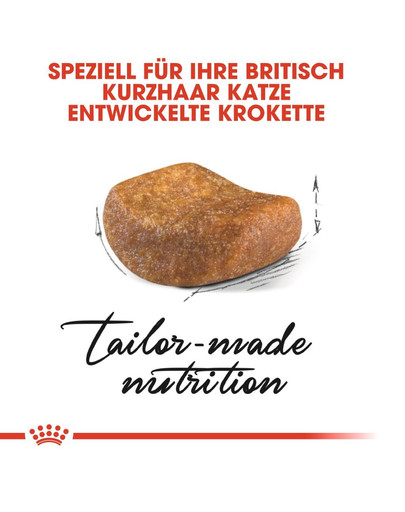 ROYAL CANIN British Shorthair Katzenfutter trocken für Britisch Kurzhaar 400 g