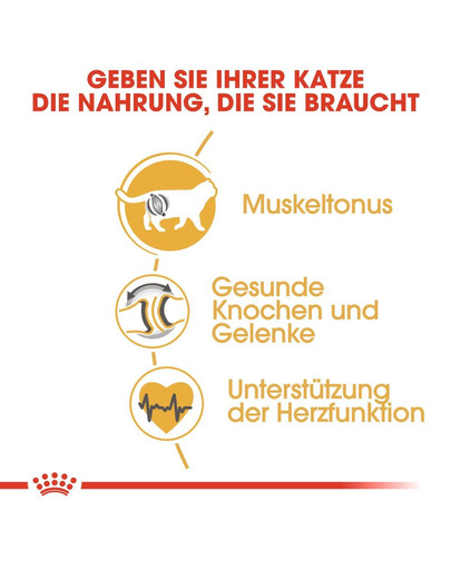 ROYAL CANIN British Shorthair Katzenfutter trocken für Britisch Kurzhaar 400 g
