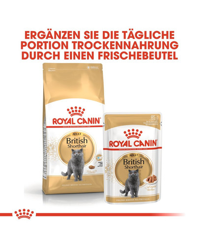 ROYAL CANIN British Shorthair Katzenfutter trocken für Britisch Kurzhaar 400 g