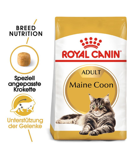 ROYAL CANIN Maine Coon Adult Katzenfutter trocken 4 kg