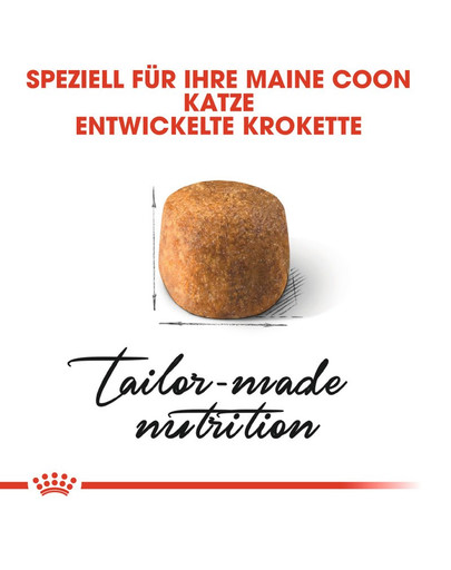 ROYAL CANIN Maine Coon Adult Katzenfutter trocken 4 kg
