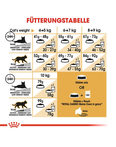 ROYAL CANIN Maine Coon Adult Katzenfutter trocken 2 kg