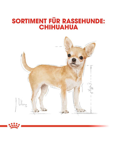 ROYAL CANIN Chihuahua Adult Hundefutter trocken 500 g