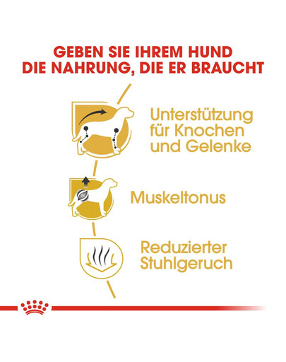 ROYAL CANIN Dachshund Adult Hundefutter trocken für Dackel 1,5 kg