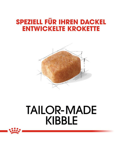 ROYAL CANIN Dachshund Adult Hundefutter trocken für Dackel 1,5 kg