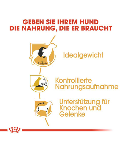 ROYAL CANIN Beagle Adult Hundefutter trocken 12 kg