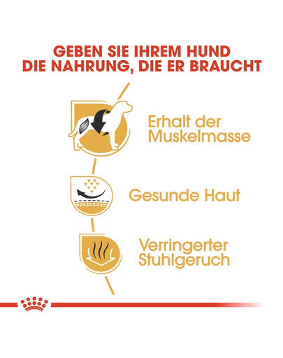 ROYAL CANIN French Bulldog Adult Hundefutter trocken für Französische Bulldoggen 3 kg