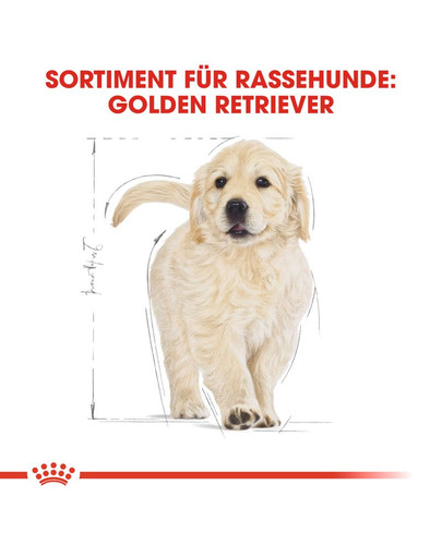 ROYAL CANIN Golden Retriever Puppy Welpenfutter trocken 1 kg