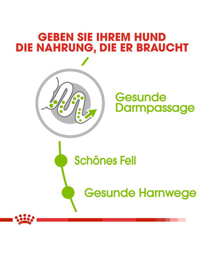 ROYAL CANIN X-SMALL Adult Trockenfutter für sehr kleine Hunde 500 g