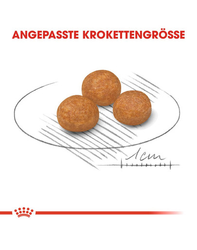 ROYAL CANIN X-SMALL Adult Trockenfutter für sehr kleine Hunde 500 g