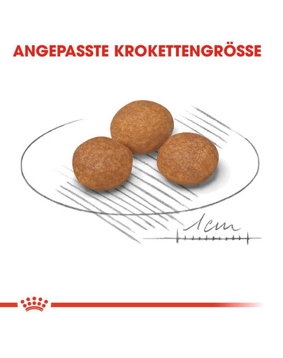 ROYAL CANIN X-SMALL Adult 8+ Trockenfutter für ältere sehr kleine Hunde 1.5 kg