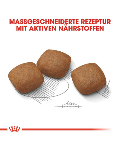 ROYAL CANIN JOINT CARE MAXI Trockenfutter für große Hunde mit empfindlichen Gelenken 10 kg