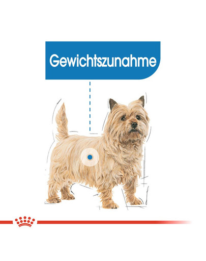 ROYAL CANIN LIGHT WEIGHT CARE MINI Trockenfutter für kleine Hunde mit Neigung zu Übergewicht 8 kg