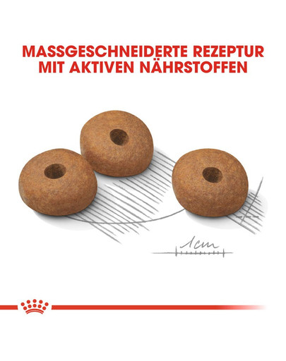 ROYAL CANIN LIGHT WEIGHT CARE MINI Trockenfutter für kleine Hunde mit Neigung zu Übergewicht 3 kg