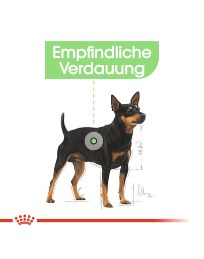 ROYAL CANIN DIGESTIVE CARE MINI Trockenfutter für kleine Hunde mit empfindlicher Verdauung 3 kg