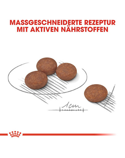 ROYAL CANIN DIGESTIVE CARE MINI Trockenfutter für kleine Hunde mit empfindlicher Verdauung 8 kg