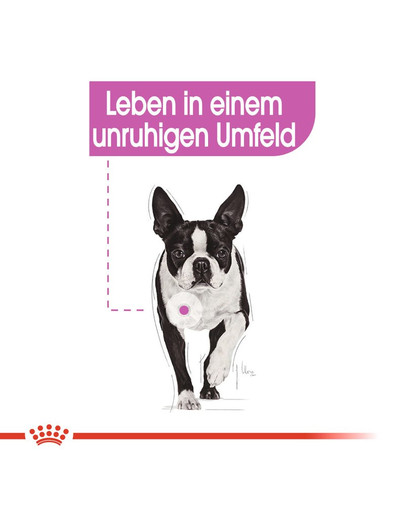 ROYAL CANIN RELAX CARE MINI Trockenfutter für kleine Hunde in unruhigem Umfeld 8 kg
