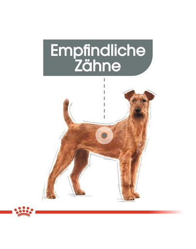 ROYAL CANIN DENTAL CARE MEDIUM Trockenfutter für mittelgroße Hunde mit empfindlichen Zähnen 3 kg