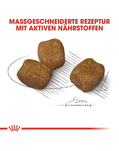 ROYAL CANIN DENTAL CARE MINI Trockenfutter für kleine Hunde mit empfindlichen Zähnen 8 kg