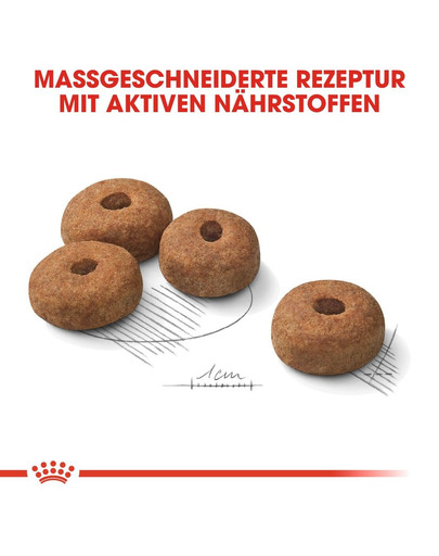 ROYAL CANIN STERILISED MAXI Trockenfutter für kastrierte große Hunde 3 kg