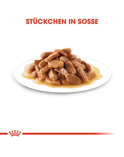 ROYAL CANIN MAXI PUPPY Welpenfutter nass für große Hunde 10 x 140 g