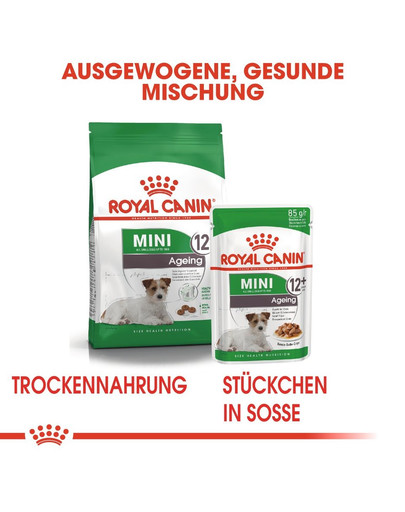 ROYAL CANIN MINI Ageing 12+ Trockenfutter für ausgewachsene Hunde, kleine Rassen 3,5 kg