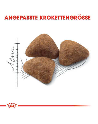 ROYAL CANIN INDOOR 27 Trockenfutter für Wohnungskatzen 400 g