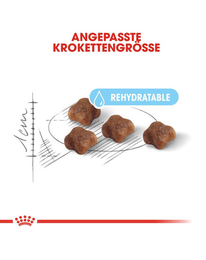 ROYAL CANIN MOTHER & BABYCAT Katzenfutter für tragende Katzen und Kitten 2 kg